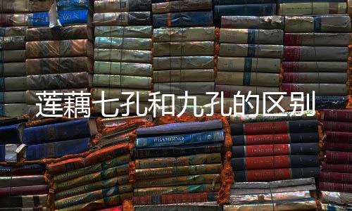 孔的莲藕和九七孔区别