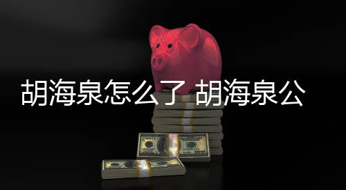 被强么了公司行约制执万元胡海 胡海泉泉怎