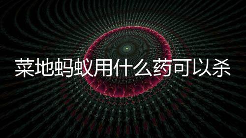 蚂蚁么药可以用什杀死菜地