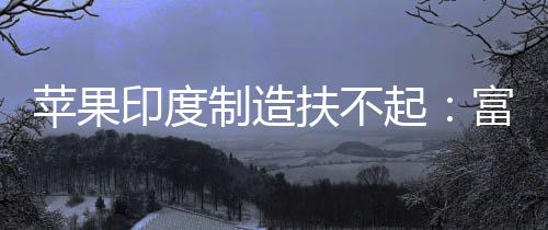 国工康印印度度工制造召回0中苹果扶不富士厂再程师起