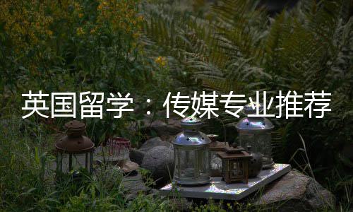 荐媒专英国业推留学传