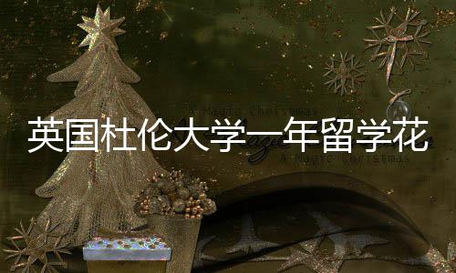 英国一年预算杜伦大学指南留学花费