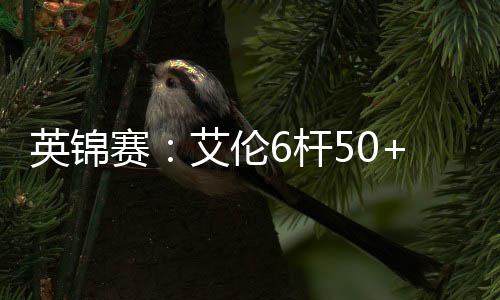 6杆英锦下艾伦赛