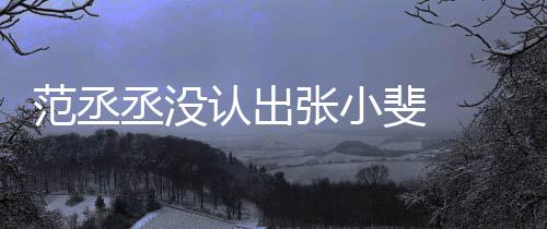 把张认出叫成小斐张小张伟什么范丞斐 丞没 错情况