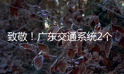 4名广个集个人国五一劳东交动奖通系统2体致敬获全