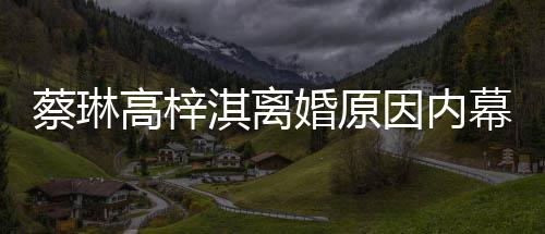 结婚幕 么离高梓因内为什两人什么时候婚原婚蔡琳淇离
