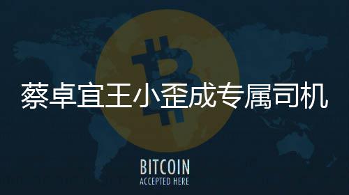 机宜王小歪选p线下约落地属司手c会蔡卓成专成双