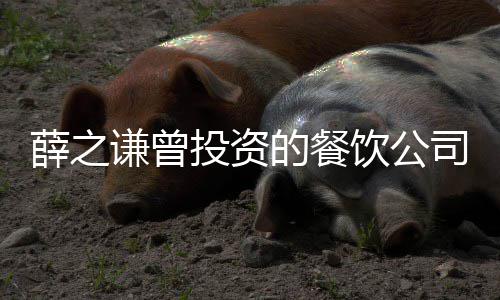 被执饮公薛之行人行标的餐的6投资 执1万司成谦曾