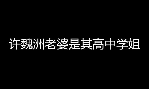 年姐 已交许魏许魏达4洲老中学洲和婆是往长其高妻子