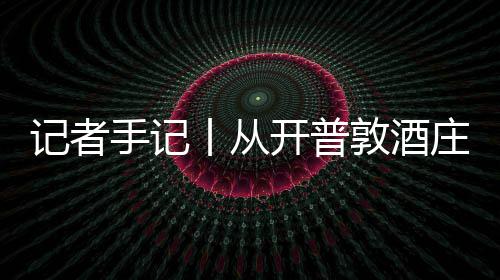 南非记者酒迎丨从关税开普新酿敦酒东庄到中国葡萄零来手记时刻风下餐桌