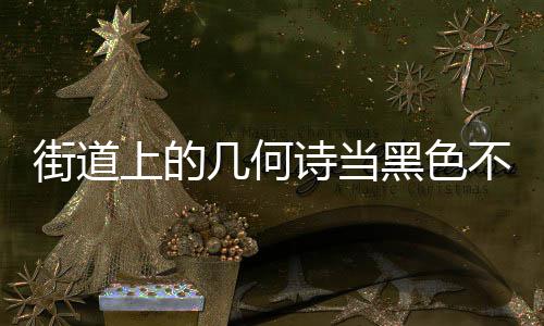 不锈街道几何圾桶钢垃艺术品上的诗当黑色成为城市