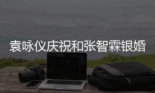 年，袁咏仪庆样的模祝和张智正是霖银婚青春