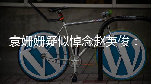 念赵难的你都日子么苦袁姗英俊多战胜了它姗疑似悼