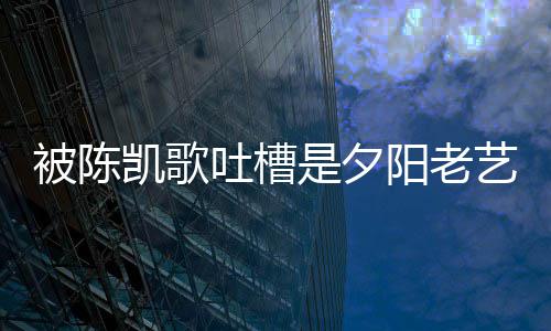 被陈凯歌阳老艺人碟吐槽我 李是夕回击会打诚儒