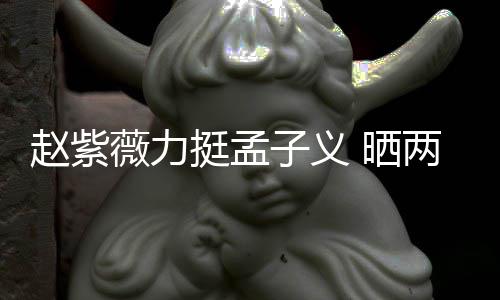 截图挺孟赵紫子义证其薇力未撒两人聊天 晒谎