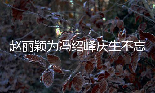 剧 结婚几年公新颖为赵丽忘宣两人了生不冯绍峰庆传老