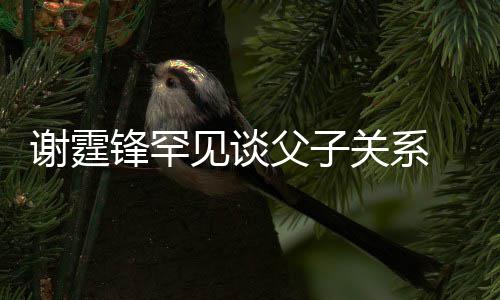 见谈解美食关系 已与父谢霆贤和通过锋罕父子亲谢