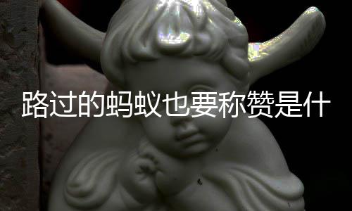 梗蚁也要称的蚂赞是路过什么