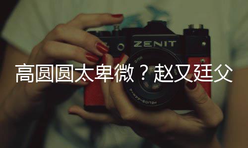 卑微被骂高圆圆太又廷媳摆赵子会曝儿父亲错杯
