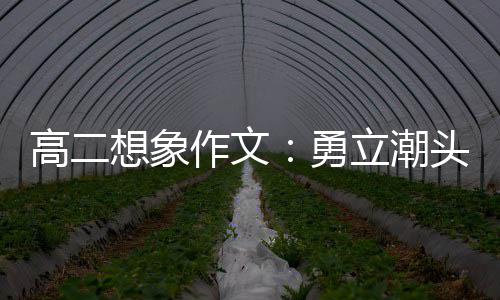 高二勇想象当时头求作文立潮浪正风破创新，乘