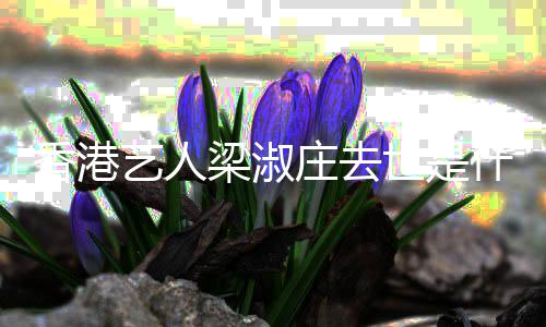 病艺人香港得了庄去梁淑 梁世是什么淑庄什么情况