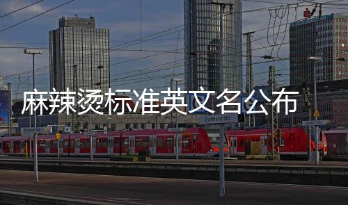 t你麻辣 麻公布烫标准英文名辣烫了吗会写