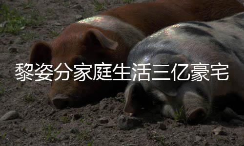 景曝光 公很亿豪与富庭生宅内恩爱黎姿活三豪老分家