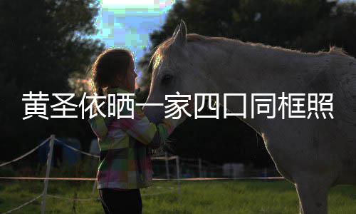 见曝萌可光呆依晒一家小儿同框照 子罕爱四口黄圣
