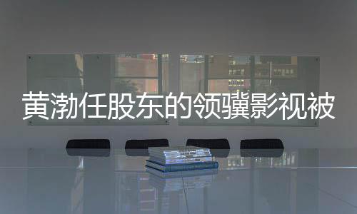 被限标的任股影视东的制消执行领骥黄渤费 超6千万