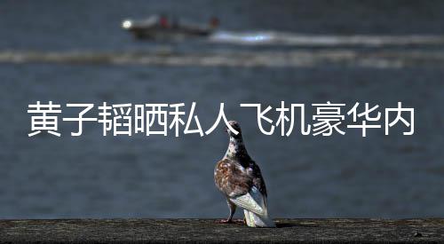 内饰韬晒曝光普维万私人丝科黄子豪华护要飞机 粉