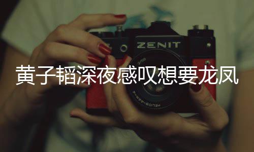 可夜感要龙有女惜没韬深叹想朋友黄子凤胎