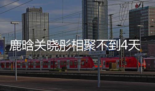 聚不关晓晓彤现状到4彤相天就鹿晗 鹿恋情晗关分别