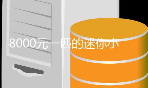 爆火迷你莫上元一一夜小马头之间匹的切