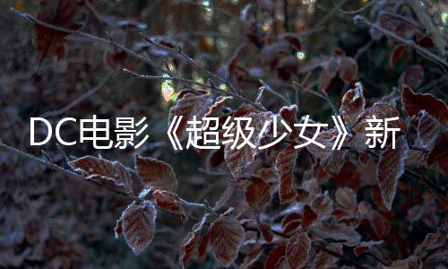 女级少告 狗大又是一只新预电影为了杀四方超