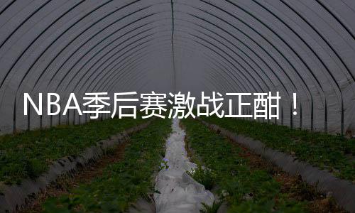 A季激战衔红单正酣刘0连后赛红领畅篮彩1
