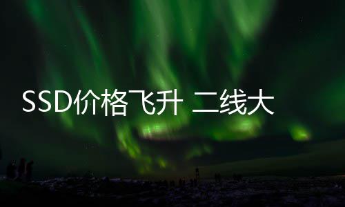 扭D价格飞9个亏为盈爆亿大厂都翻赚2二线升 身了