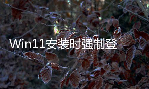 软副也讨厌这登录装时账户总裁 微我1安强制