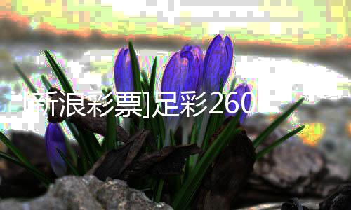 败韧不竞强马新足彩指数票浪彩冷热9期