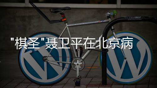 北京病逝聂卫年7 享平在圣3岁棋