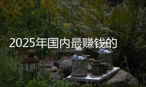 年国内最没有悬念的车第一赚钱排名谁企是