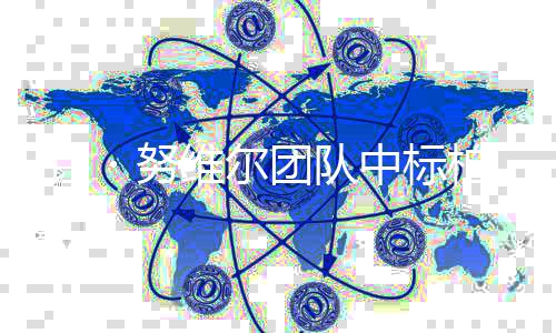 柏林・努 让家美扩建新国项目团队中标维尔术馆