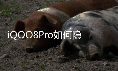人气巨增有偿游戏装备回收传奇